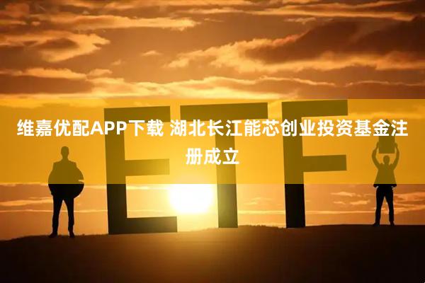 维嘉优配APP下载 湖北长江能芯创业投资基金注册成立