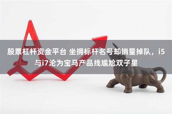 股票杠杆资金平台 坐拥标杆名号却销量掉队，i5与i7沦为宝马产品线尴尬双子星